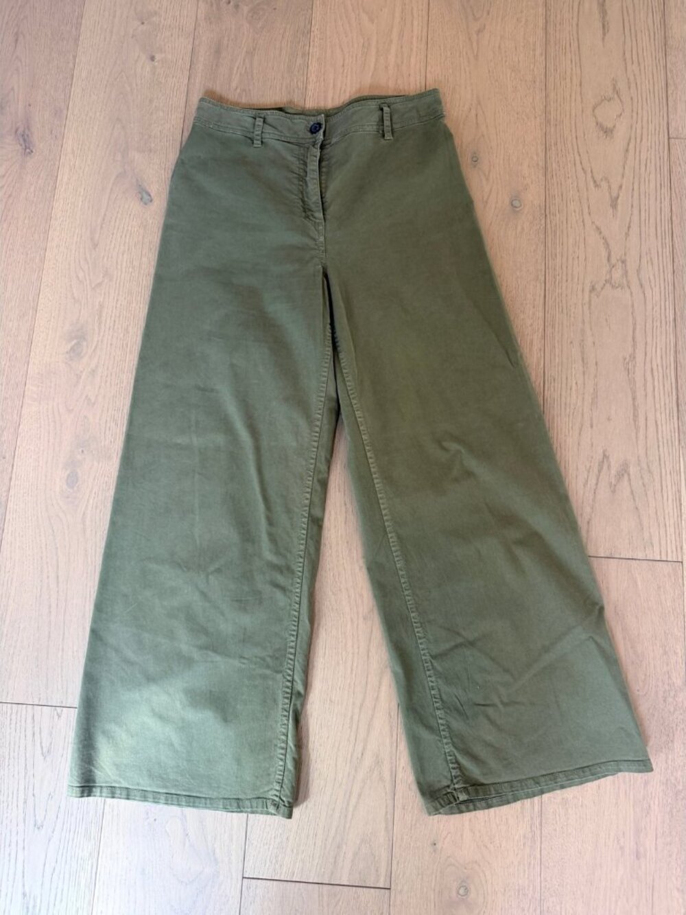 Nili Lotan Megan Wide Leg Crop Pant Green Brushed Twill Size 8